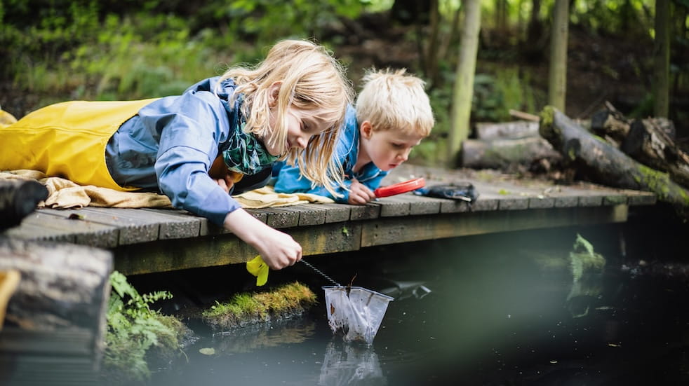 Two brothers with blonde hair lying on their tummies and looking into the pond to see what they have caught in their net